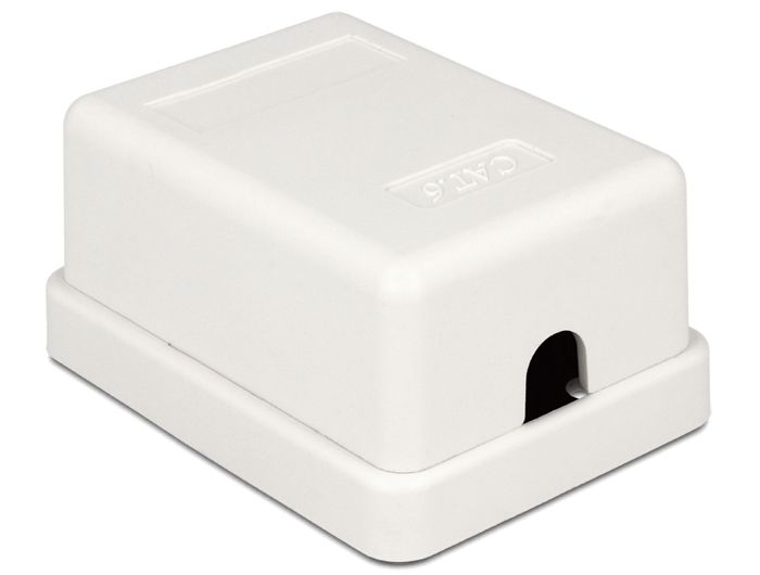 DeLock Modular Wall Outlet 1 Port Cat.6 compact UTP