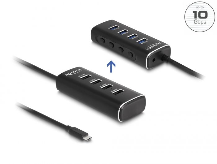 DeLock 4 Port USB 10 Gbps Hub with USB Type-C connector 60 cm Cable and Switch for each port